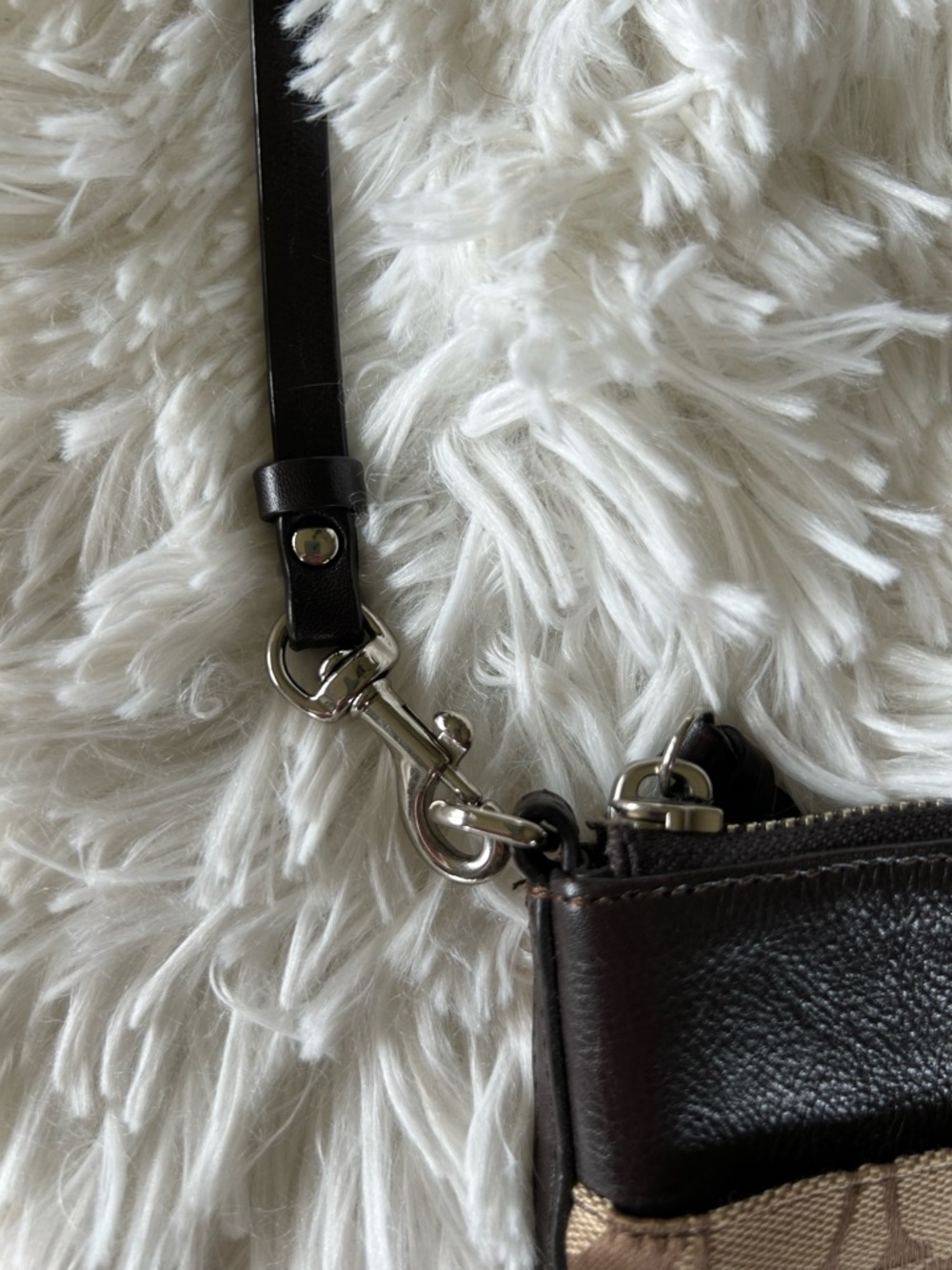 Coach | Signature C Canvas Crossbody - Picture 7 of 9